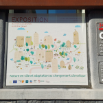 microperforé-montpellier-film